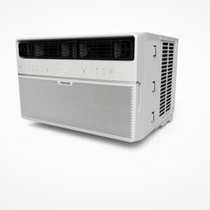 Purifier with H1N1 filter